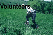 volunteers